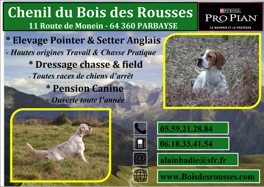 Chenil chien de chasse